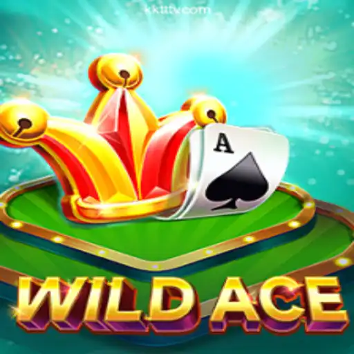 Exploring WildAce: The Thrill of Virtual Adventure and Gambling
